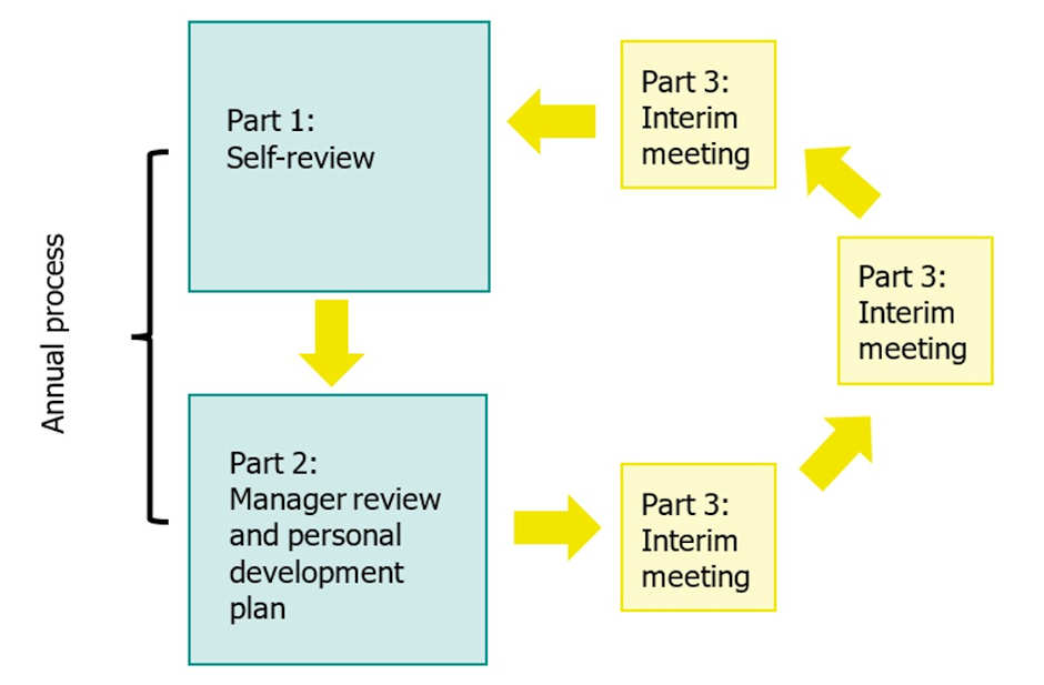 performance and development plan process image