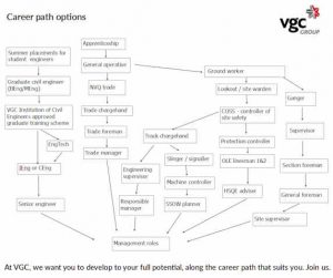 Career path options