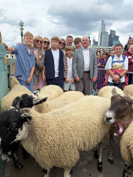 VGC leaders join historic Sheep Drive across Southwark Bridge